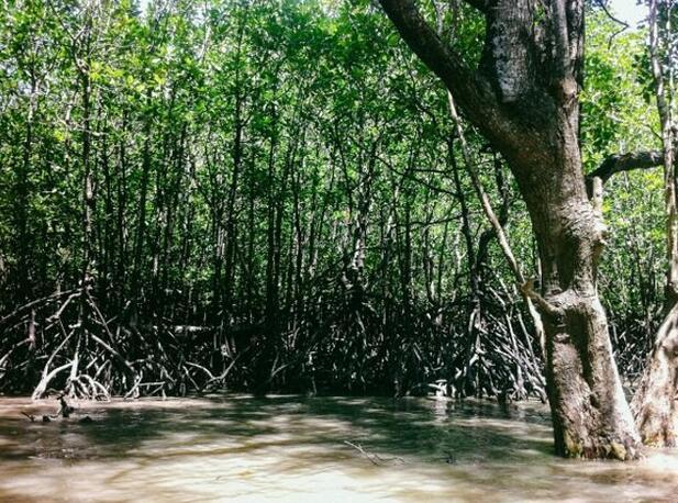 割喉岛，非常的美