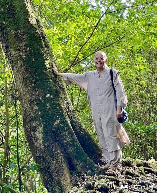 女星刘蓝溪逝世！当红时结婚隐退，剃发出家30年，去世时面容安详