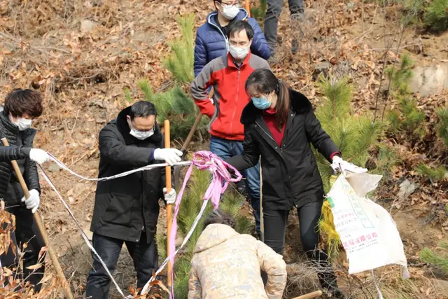【植树节特辑】威海中院:我看青山多妩媚,料青山看我应如是