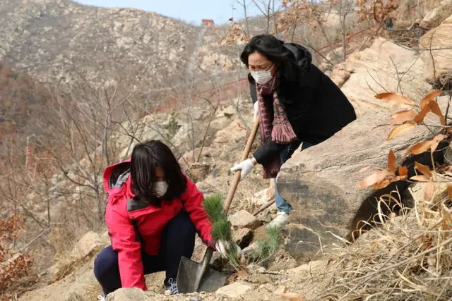 【植树节特辑】威海中院:我看青山多妩媚,料青山看我应如是