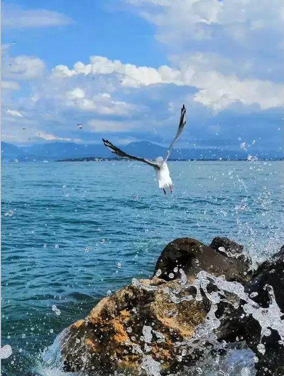 “那年夏天，我赚到了自己的第一桶金！”高考结束后的暑假，你做了哪些事？