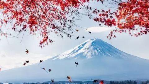 资政｜日本的“认力”文化告诫我们应如何对日交往