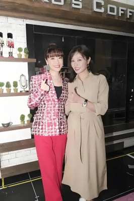 向海岚(陈妙瑛向海岚现身TVB颁奖，旧日恩怨能否一笑泯恩仇？)