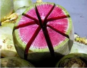 还在吃传统蔬菜吗？不妨试试这些“高档货”