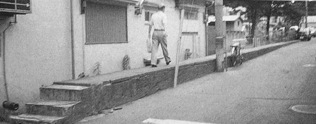你看那些建筑,精心设计却又毫无用处