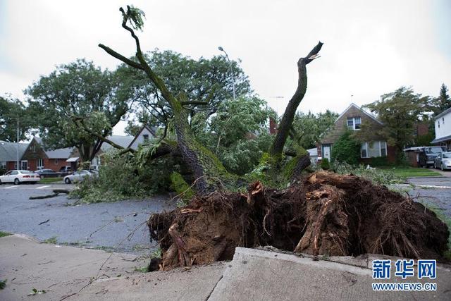 一组图见证气象灾害之台风篇