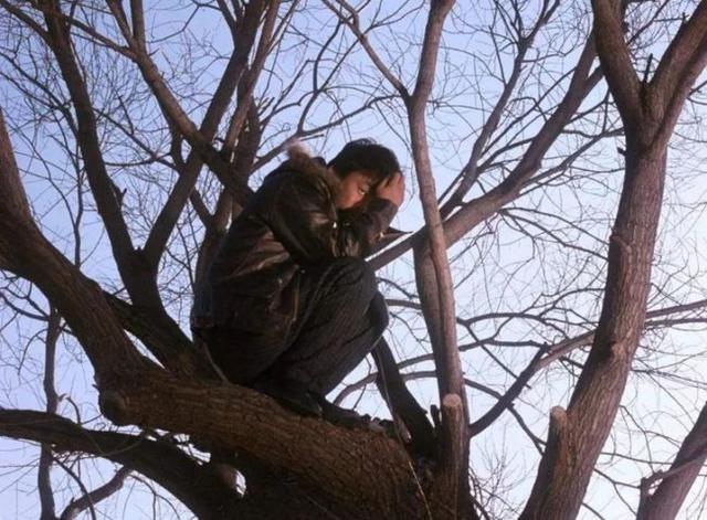 何以毁掉树先生？人性的丑恶、荒诞的梦，共同铸就悲剧