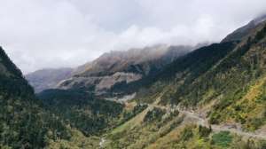 玉麦(西藏:玉麦“蝶变”)