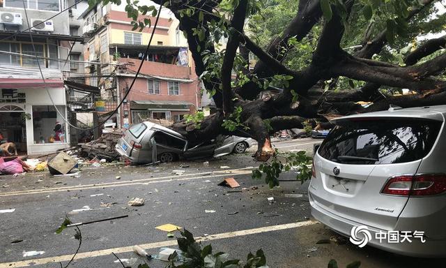 一组图见证气象灾害之台风篇