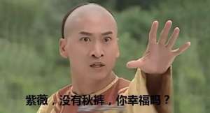 福尔康历史原型(历史上的“尔康”长什么样子)