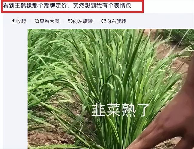 红了就飘了？王鹤棣开演唱会割粉丝韭菜，票打折都卖不出去