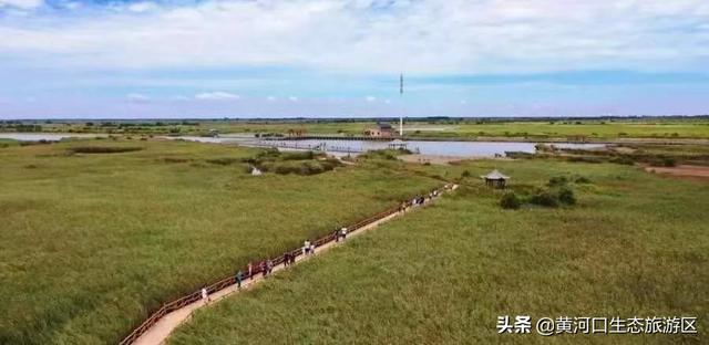 东营市青年钢琴家李约翰  为黄河入海献曲