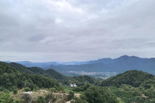 你是不是