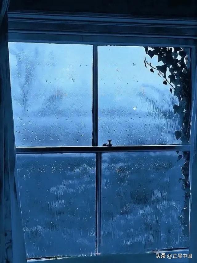 他们的身体越靠越近,江聿风能感受到韩芸汐急促的呼吸…