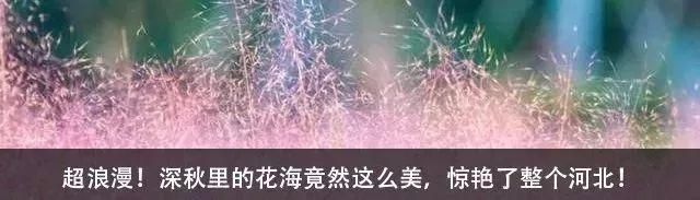 “长城红”PK“长城蓝”,你更喜欢哪个呢?