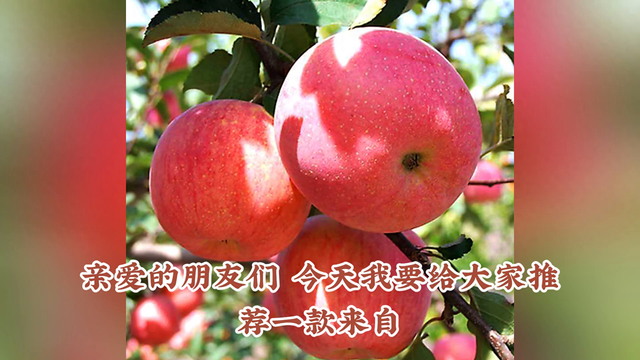 白水苹果