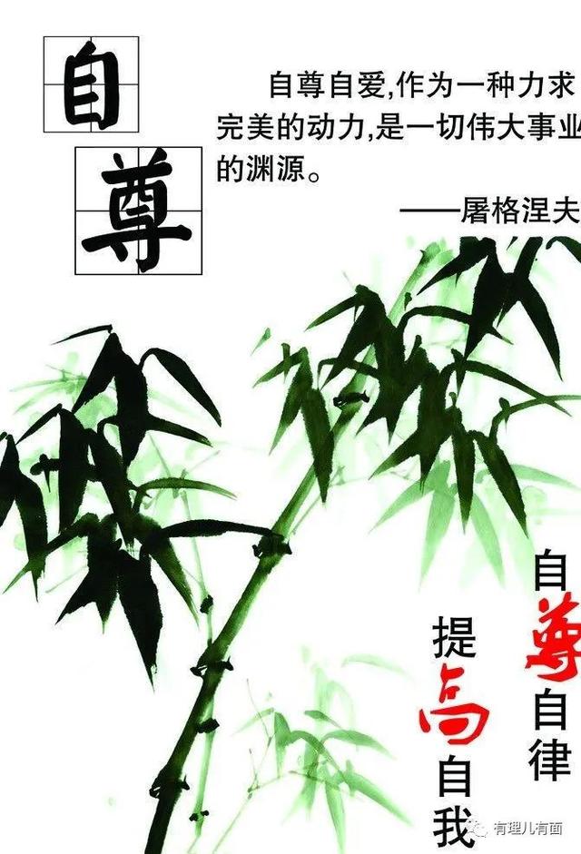 马保国现象, 不应一笑置之!