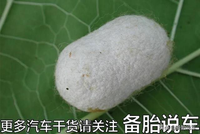 为什么奔驰在网上被黑得这么惨，销量却很好？