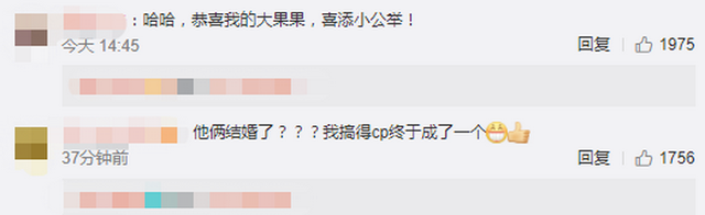 红果果绿泡泡得女,引发网友童年回忆杀:站的CP终于成了一个