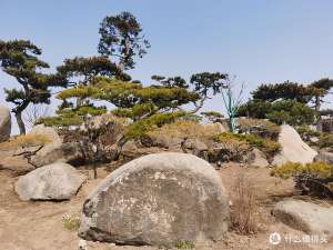 罗红摄影(想去白嫖却被反薅的北京网红景点---罗红摄影艺术馆)