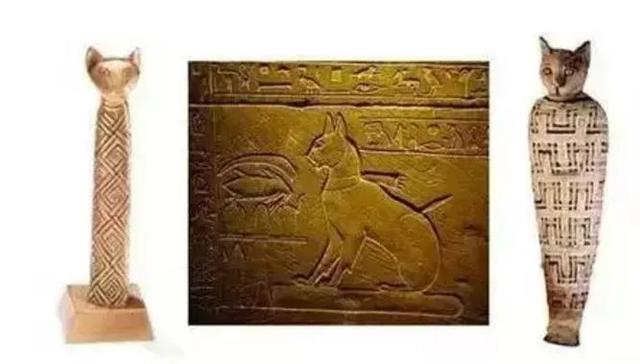 《惊奇队长》中的噬元兽丨禽兽有道