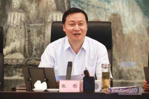 张彤(34岁时升正厅、40岁时任市长，“70后”张彤调任新职)