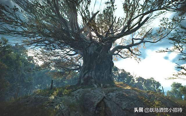 聊聊《巫师3：狂猎》里的林中夫人背后的故事