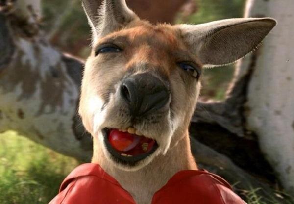 影视圈10大明星动物，加菲猫和小猪佩奇均上榜，你认识几个？