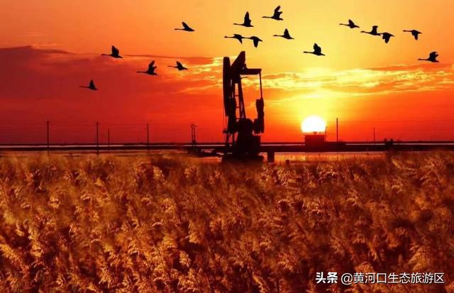 东营市青年钢琴家李约翰  为黄河入海献曲