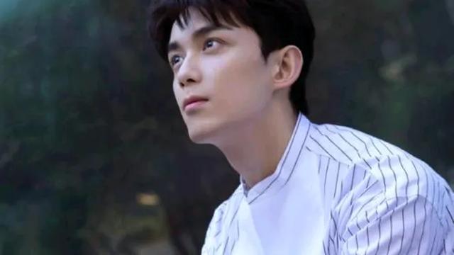 吴磊演艺之路:从童星到璀璨新星,未来将有何惊喜?