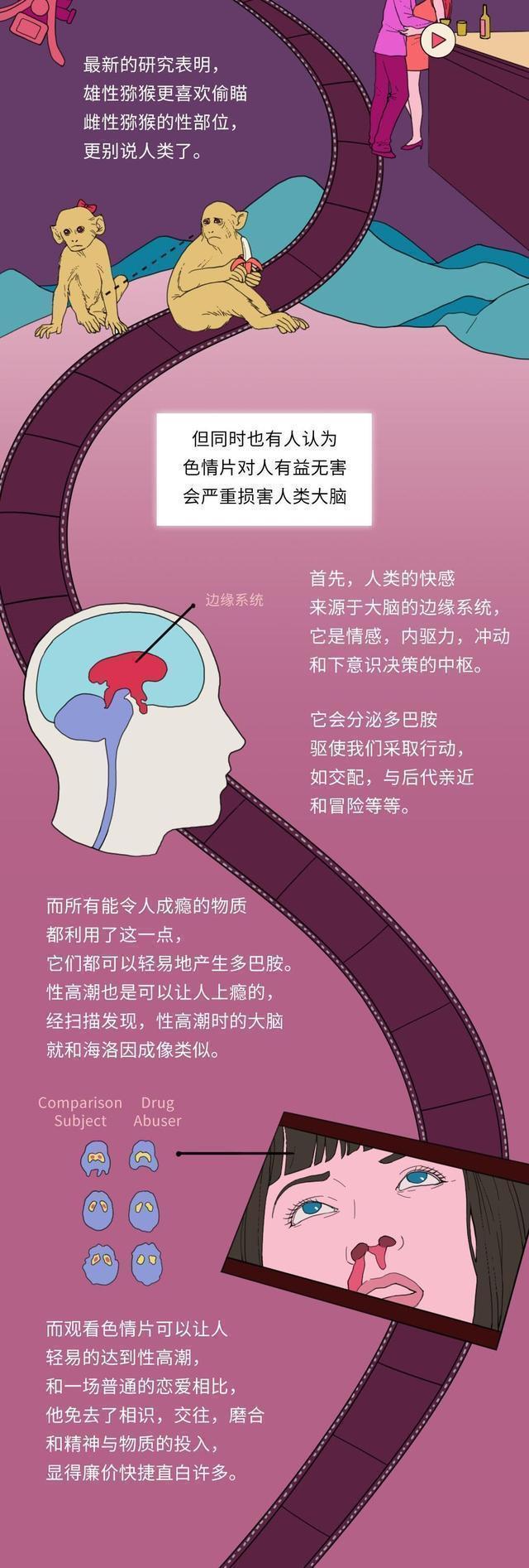 长时间接触成人视频的男女,最后都怎么样了?