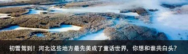 “长城红”PK“长城蓝”,你更喜欢哪个呢?