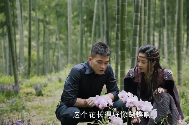 秦岚主演的电视剧，这四部一定要看完，值得熬夜追