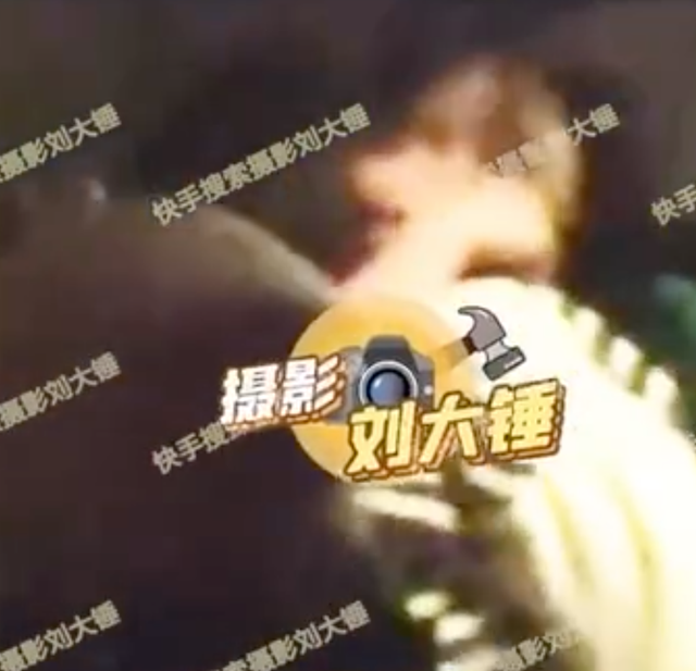 31岁汪苏泷疑恋情曝光！美女主动亲吻多次好热情，男方却一脸淡定