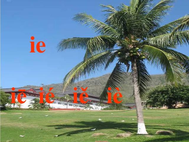 部编版一年级上册汉语拼音11《ie üe er》图文讲解