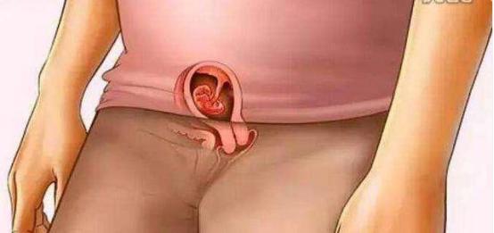 怀孕时妈妈和胎宝是怎么慢慢变化的，十张过程图，妈妈不容易