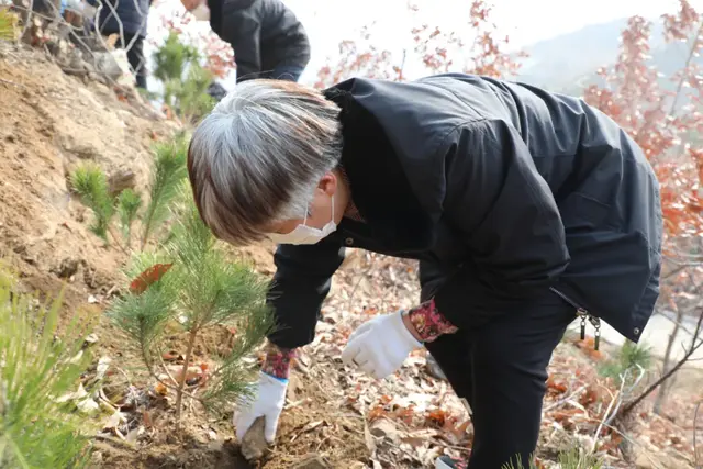 【植树节特辑】威海中院:我看青山多妩媚,料青山看我应如是