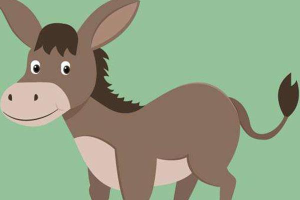 影视圈10大明星动物，加菲猫和小猪佩奇均上榜，你认识几个？