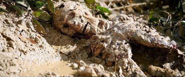 上班族不宜观看的10部韩国影片，尽量少看以免学坏