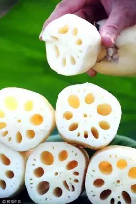 还在吃传统蔬菜吗？不妨试试这些“高档货”