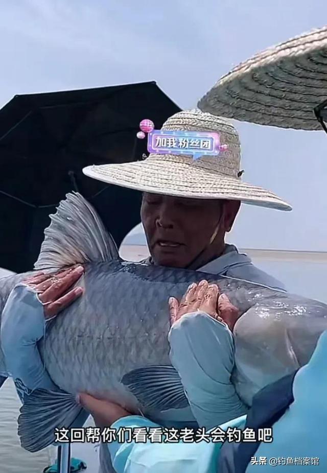 盘点王者之战小组赛七宗“最”，徐清华最可惜、化氏竟成最大赢家