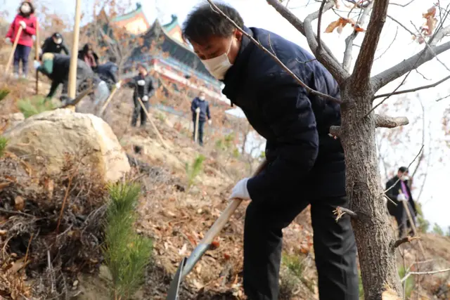 【植树节特辑】威海中院:我看青山多妩媚,料青山看我应如是