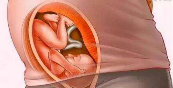 怀孕时妈妈和胎宝是怎么慢慢变化的，十张过程图，妈妈不容易