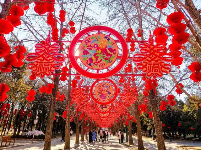 京城拍客今日精选｜寻常烟火巷 花灯初点亮