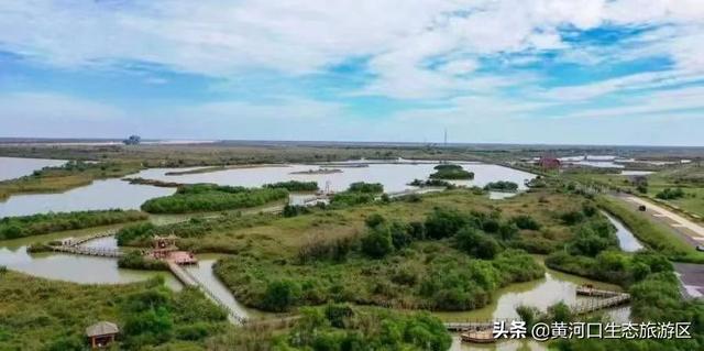 东营市青年钢琴家李约翰  为黄河入海献曲