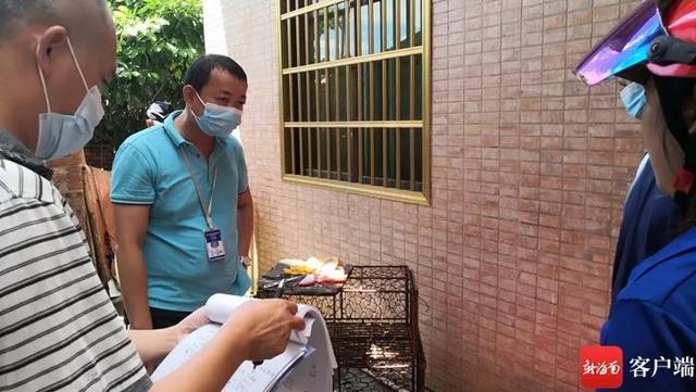 海口一民宅内传出狗的惨叫声……执法人员查处现场老板正忙杀狗