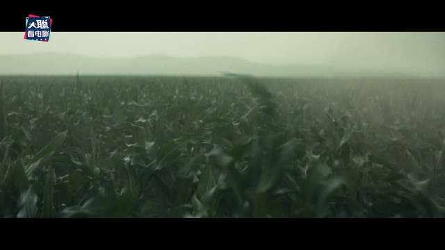 《星际穿越》深度彩蛋分析！为何选玉米为末日谷物原来还有这操作