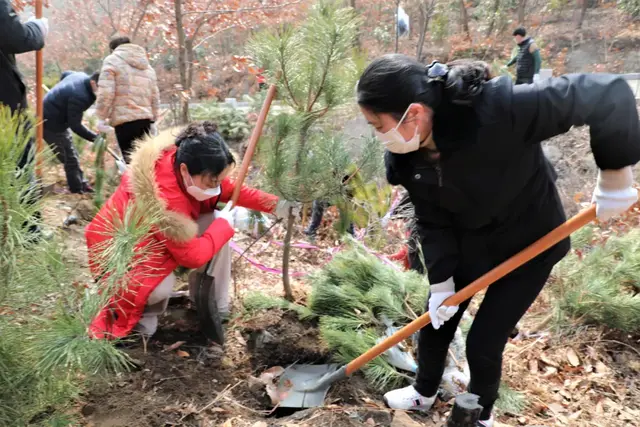 【植树节特辑】威海中院:我看青山多妩媚,料青山看我应如是