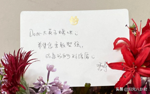 刘维妈妈癌症复发住院,郭碧婷前去探望,两人互称母女惹向太吃醋