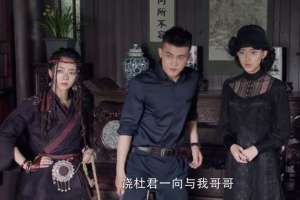 秦岚演过的电视剧(秦岚主演的电视剧，这四部一定要看完，值得熬夜追)